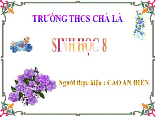 Bài 26. Thực hành: Tìm hiểu hoạt động của enzim trong nước bọt