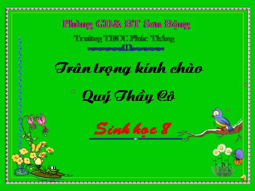 Bài 62. Thụ tinh, thụ thai và phát triển của thai
