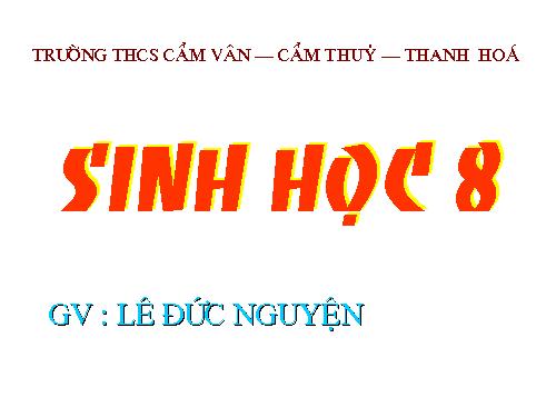 Bài 27. Tiêu hóa ở dạ dày