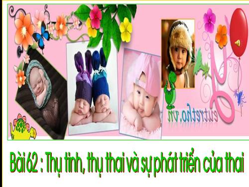 Bài 62. Thụ tinh, thụ thai và phát triển của thai