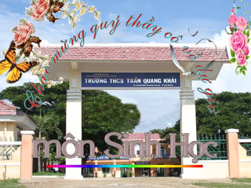 Bài 17. Tim và mạch máu