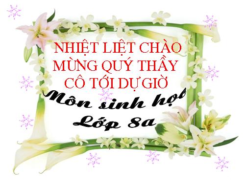 Bài 21. Hoạt động hô hấp