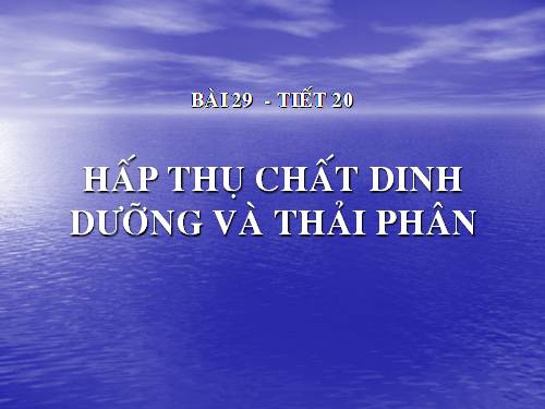 Bài 29. Hấp thụ chất dinh dưỡng và thải phân