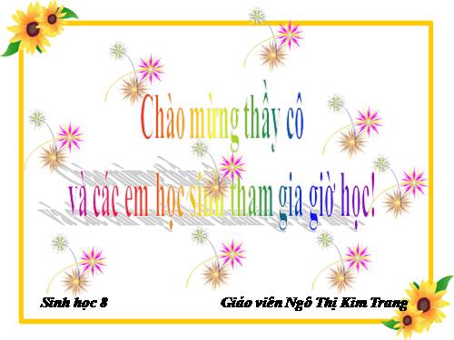 Bài 20. Hô hấp và các cơ quan hô hấp