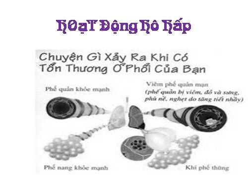 Bài 21. Hoạt động hô hấp
