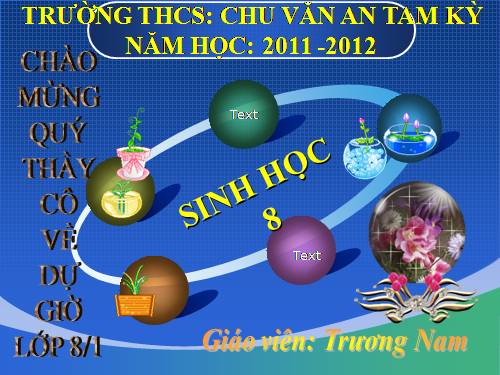 Bài 24. Tiêu hóa và các cơ quan tiêu hóa