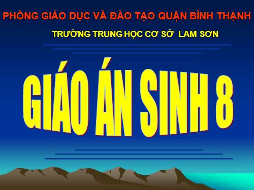 Bài 46. Trụ não. Tiểu não. Não trung gian