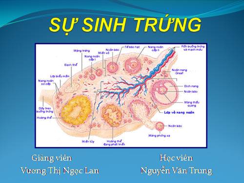 Sự sinh trứng