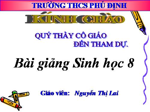 Bài 21. Hoạt động hô hấp