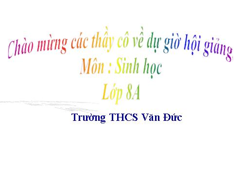 Bài 15. Đông máu và nguyên tắc truyền máu