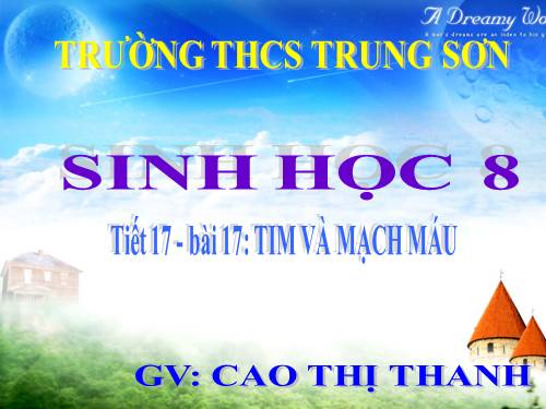 Bài 17. Tim và mạch máu