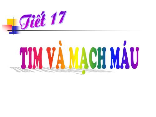 Bài 17. Tim và mạch máu