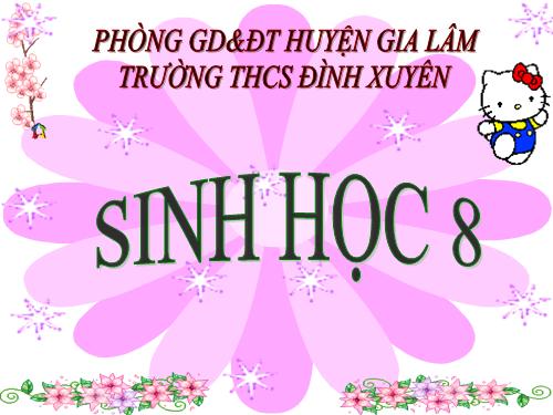 Bài 17. Tim và mạch máu