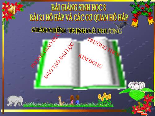 Bài 20. Hô hấp và các cơ quan hô hấp