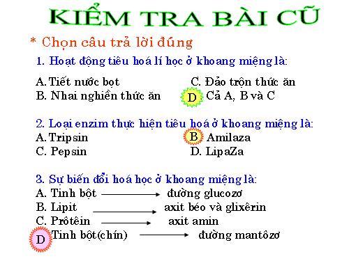 Bài 27. Tiêu hóa ở dạ dày