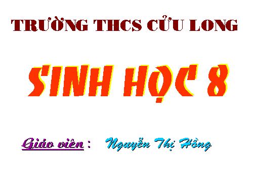 Bài 27. Tiêu hóa ở dạ dày