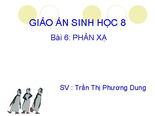 Bài 6. Phản xạ