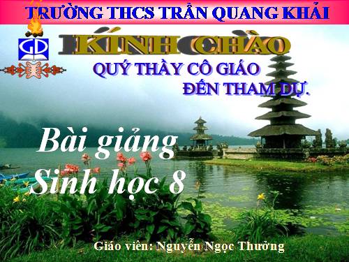 Bài 21. Hoạt động hô hấp