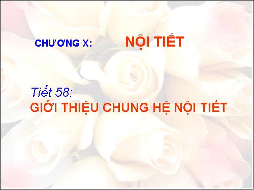 Bài 55. Giới thiệu chung hệ nội tiết