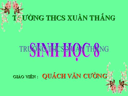 Bài 16. Tuần hoàn máu và lưu thông bạch huyết