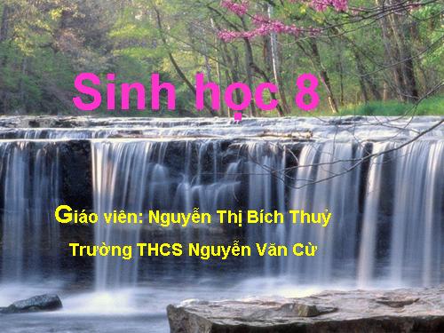 Bài 15. Đông máu và nguyên tắc truyền máu