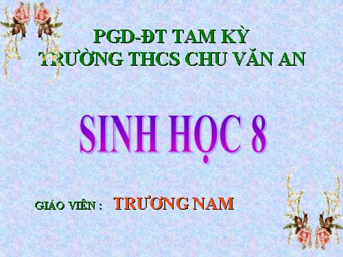 Bài 16. Tuần hoàn máu và lưu thông bạch huyết