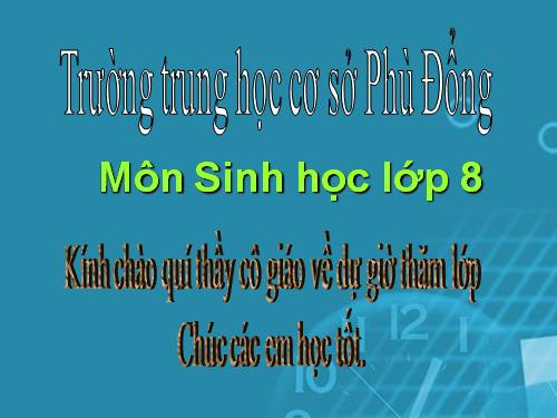 Bài 43. Giới thiệu chung hệ thần kinh