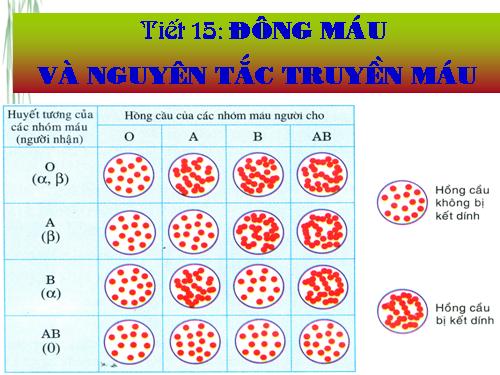 Bài 15. Đông máu và nguyên tắc truyền máu