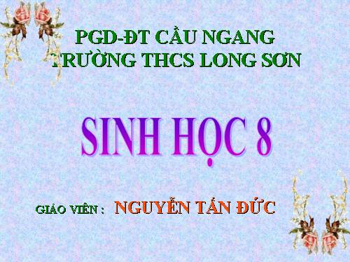 Bài 16. Tuần hoàn máu và lưu thông bạch huyết