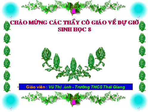 Bài 13. Máu và môi trường trong cơ thể