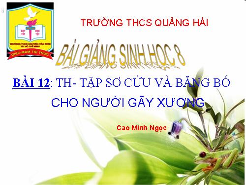 Bài 12. Thực hành: Tập sơ cứu và băng bó cho người gãy xương