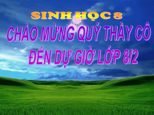 Bài 15. Đông máu và nguyên tắc truyền máu