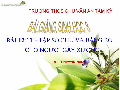 Bài 12. Thực hành: Tập sơ cứu và băng bó cho người gãy xương