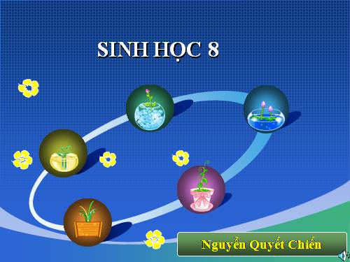 Bài 9. Cấu tạo và tính chất của cơ