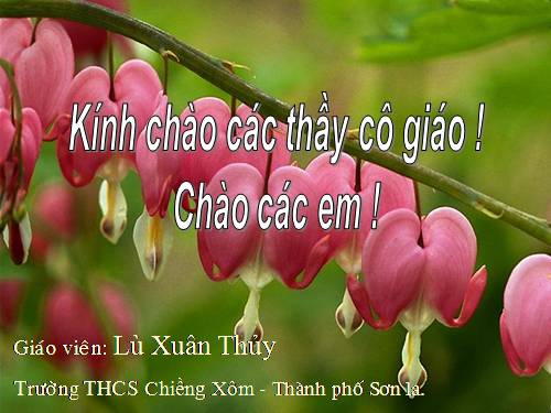 Bài 51. Cơ quan phân tích thính giác