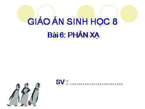 Bài 6. Phản xạ