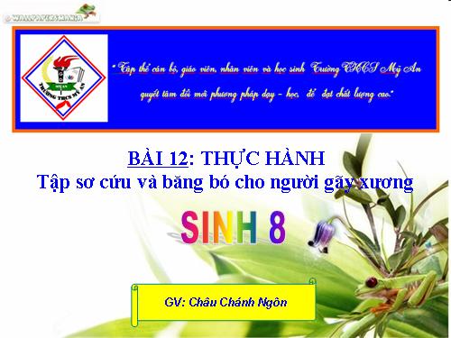 Bài 12. Thực hành: Tập sơ cứu và băng bó cho người gãy xương