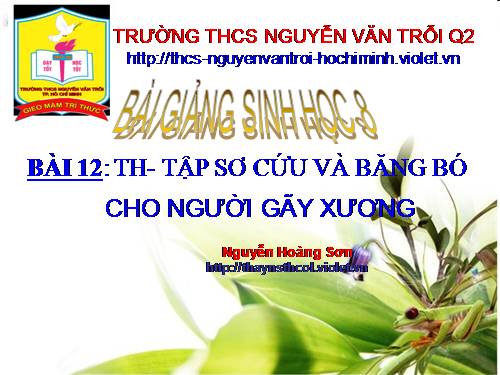 Bài 12. Thực hành: Tập sơ cứu và băng bó cho người gãy xương