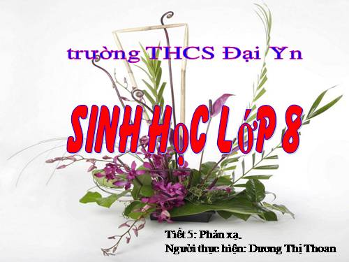 Bài 6. Phản xạ