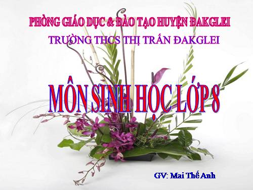Bài 6. Phản xạ