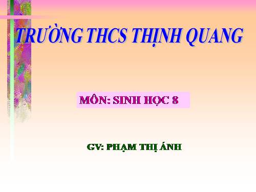 Bài 16. Tuần hoàn máu và lưu thông bạch huyết