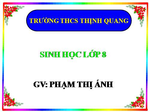 Bài 6. Phản xạ