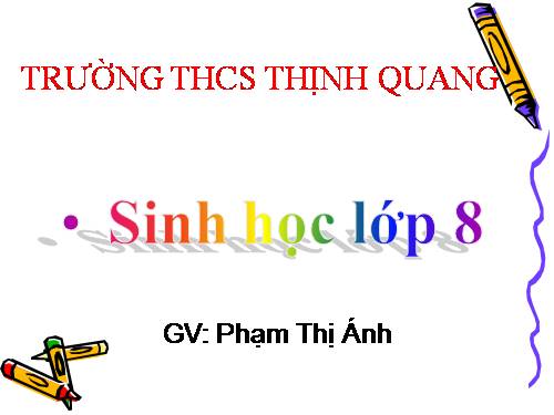 Bài 2. Cấu tạo cơ thể người