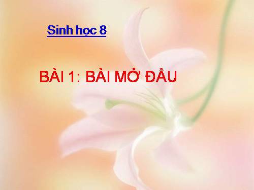 Bài 1. Bài mở đầu