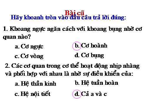 Bài 3. Tế bào