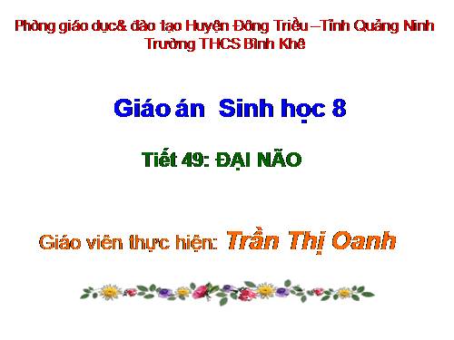 Bài 47. Đại não