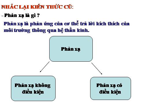 Bài 52. Phản xạ không điều kiện và phản xạ có điều kiện