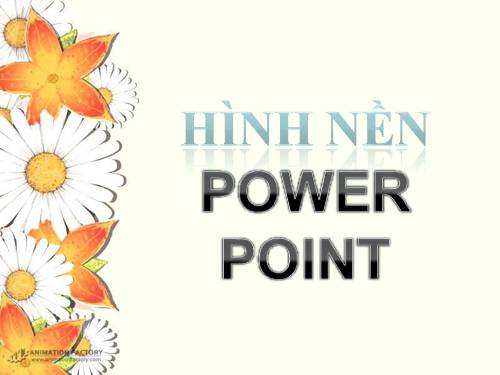 Bài 46. Trụ não. Tiểu não. Não trung gian