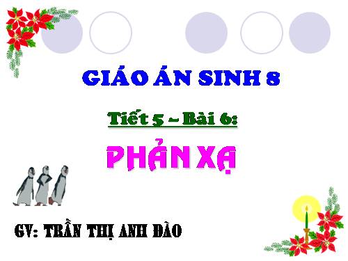 Bài 6. Phản xạ