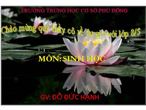 Bài 20. Hô hấp và các cơ quan hô hấp